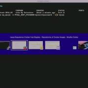 Docker Tutorial Setting Up A Wordpress Site Using Docker