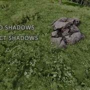 Screen Space Shadows And Micro Shadows Test In The Forest Demo