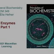 Chapter 6 Enzymes Part 1