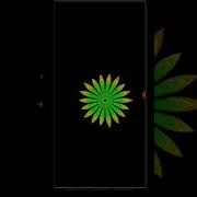 Project 7 Beautiful Designs Beautiful Flower By Python Turtle Got The Beat Shorts Ytshorts Python