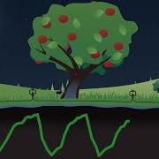 Phytech Plant App Graphs Tutorial