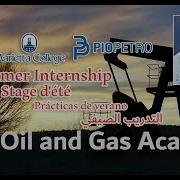 Well Test Analysis Dr Mehdi Azari