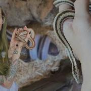 My 3 Rosy Boas Feeding Enclosures And Basic Care