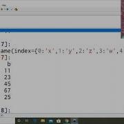 DataFrame Rename Reindex Reset Index Python Pandas CS IP 11 12 CBSE 2020
