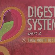 Digestive System Part 2 Crash Course Anatomy Physiology 34