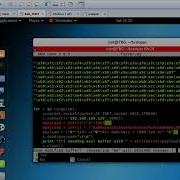 Brainpan Buffer Overflow 4 Bad Characters Explained
