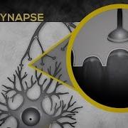 Thinking Brain Mysteries Of The Brain