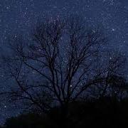 Ep 153 Reduce Driving Anxiety Bedtime Hypnosis