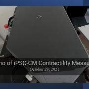 IPSC Derived Cardiomyocyte Contractility Acquisition And Analysis