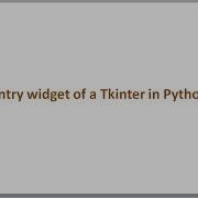 Entry Widget Of A Tkinter In Python GUI