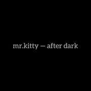 Mr Kitty After Dark Slowed Muffled Reverb