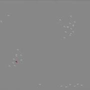 First Boid Recording Using Unity 2D