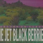 Jet Black Berries Shadow Drive