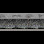 Waveform And Spectrogram Of A Purring Domestic Cat