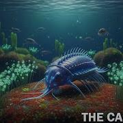 The Cambrian Explosion Of Life In Ancient Seas Documentary For Sleep