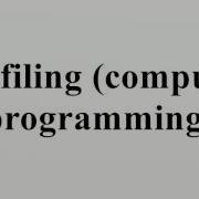 Profiling Computer Programming