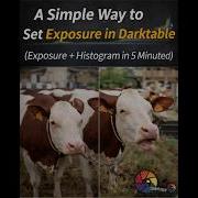 A Simple Way To Set Exposure In Darktable Histogram AgX In 5 Minutes
