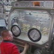 Microgravity Science Glovebox