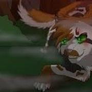 Cats Warriors Control Mapleshade And Scourge