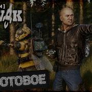 PERVAK DayZ 1 29