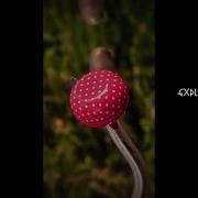 Exploration Mp3 Mimofr 1 Hour Loop