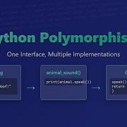 Python Polymorphism Master Object Oriented Programming