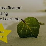 Image Classification With Web App Using Machine Learning