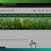 Embed YouTube Videos In Brightspace