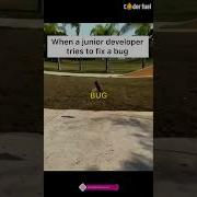 Junior Developer Attempts To Fix A Bug Coding Challenge Shorts Coding Programming