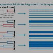 Progressive Multiple Sequence Alignment For Phylogenetic Tree