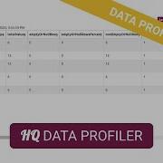 Data Profiling Tool Data Quality Analysis Tool HQ Data Profiler