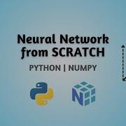 Neural Network From SCRATCH Python Numpy ONLY