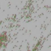 NVidia GPU 2000 Agents Flocking Behaviour