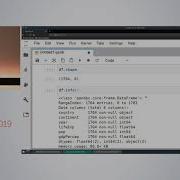 Introduction To Data Processing In Python With Pandas SciPy 2019 Tutorial Daniel Chen
