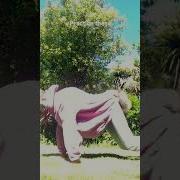 Requested Jump Tutorial Therian Fox Therianthropy Antizoo Quadrobics Jump
