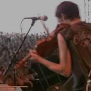 Andrew Bird A Nervous Tic Motion Live At Bonnaroo