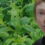 Primes Are Like Weeds PNT Numberphile