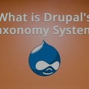 What Is Drupal S Taxonomy System