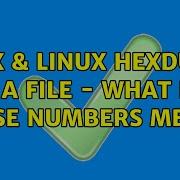 Unix Linux Hexdump Of A File What Do These Numbers Mean