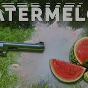 JUICY WATERMELON ON A DATE WITH 500 REVOLVER S W MAGNUM Slowmotion 120fps