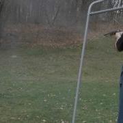 Shooting My 1979 Armi San Marco 1849 Colt Walker First Time