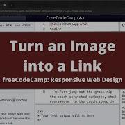 Turn An Image Into A Link Basic HTML And HTML5 FreeCodeCamp Tutorial