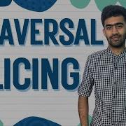 Traversal And Slicing In Python Python Mastery Ep 33 Code Io Tamil
