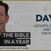 Day 33 Locusts Darkness And Death Of The First Born The Bible In A Year With Fr Mike Schmitz
