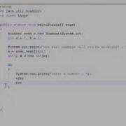 Java Loops Tutorial