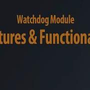 Watchdog Module Overview