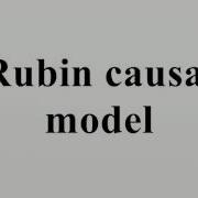 Rubin Causal Model