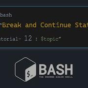 Infinite Loop Break And Continue In BASH Introduction To BASH Scripting Tutorial 12
