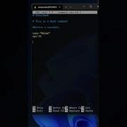 Bash Shell Scripting Comment And Variables For Beginner To Advanced Bash Bashscripting Tutorial