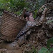 The Dangers Of The Swamp The Girl Fell Into The Swamp Girl Alone In The Fores